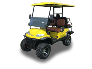 golf cart repair service, pompano cart repair pickup, golf cart inspection